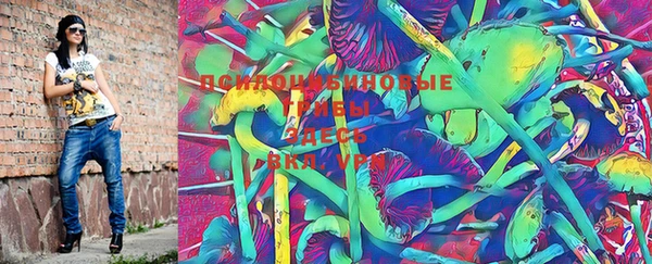 Альфа ПВП Касимов